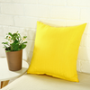 Throw Pillow - Verzatil 