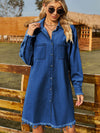 Raw Hem Collared Denim Dress