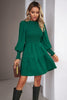 Smocked Lantern Sleeve Mini Dress